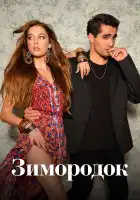 Зимородок смотреть онлайн сериал 1-2-3 сезон