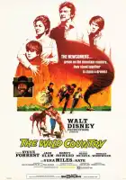 Повеса за городом смотреть онлайн (1970)