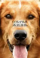 Собачья жизнь смотреть онлайн (2017)